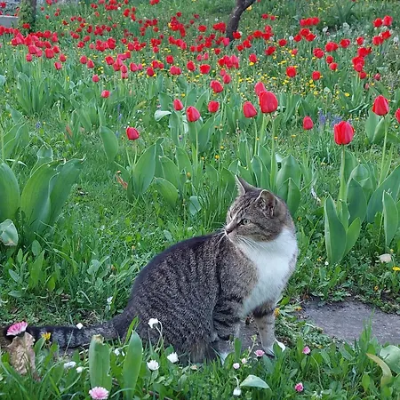 6 Zakatek Nad Jeziorem Apartman