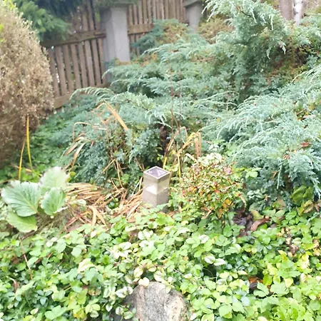 6 Zakatek Nad Jeziorem Apartman *