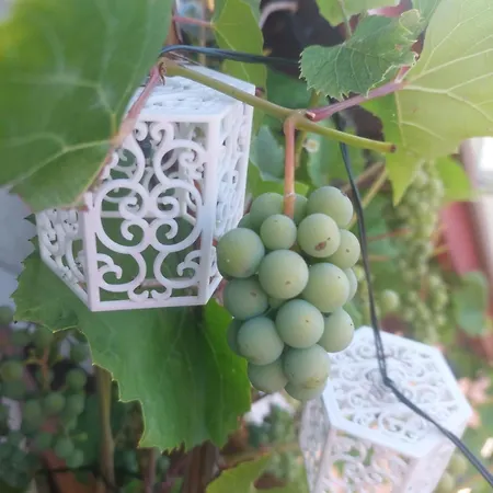 6 Zakatek Nad Jeziorem