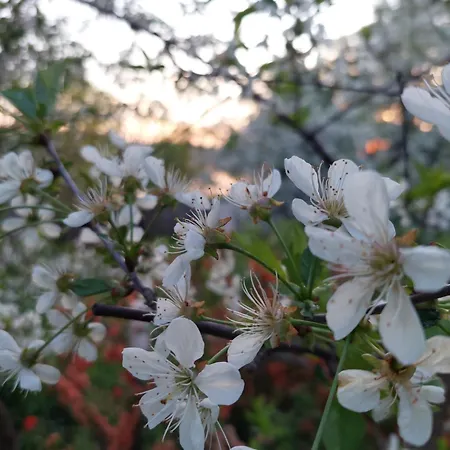 Apartman 6 Zakatek Nad Jeziorem Ełk