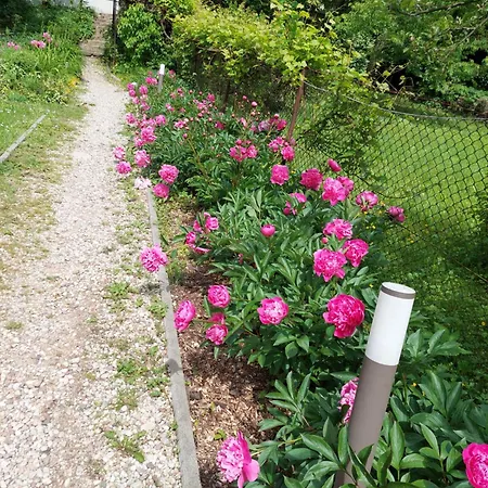 Apartman 6 Zakatek Nad Jeziorem
