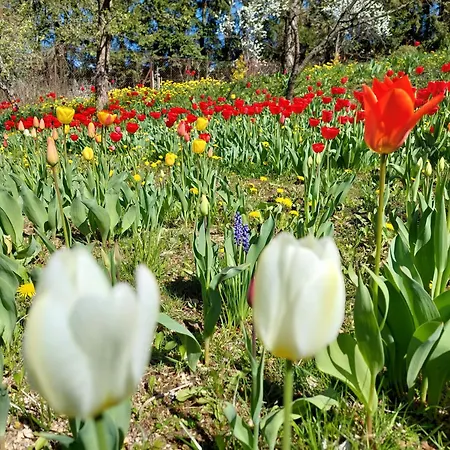 6 Zakatek Nad Jeziorem Apartman
